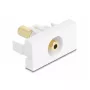 Kištukinis lizdas DeLOCK 90843 2 x 3,5 mm garso jungtis balta