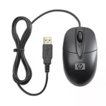 HP RH304AA pelė Office Ambidextrous USB Type-A optinė