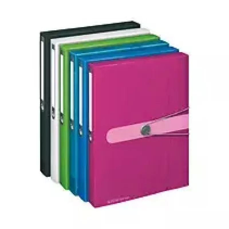 Aplankalas Herlitz polipropilenas (PP) mėlynas permatomas A4 11206141