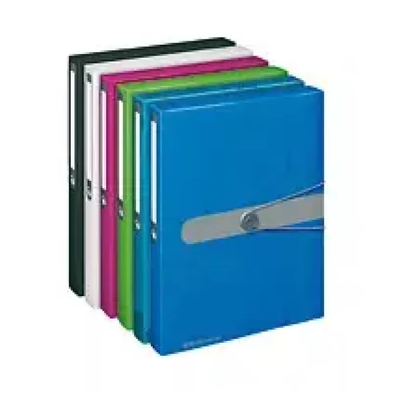 Aplankalas Herlitz polipropilenas (PP) mėlynas permatomas A4 11206141