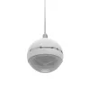 2 krypčių garsiakalbis Omnitronic 80710429