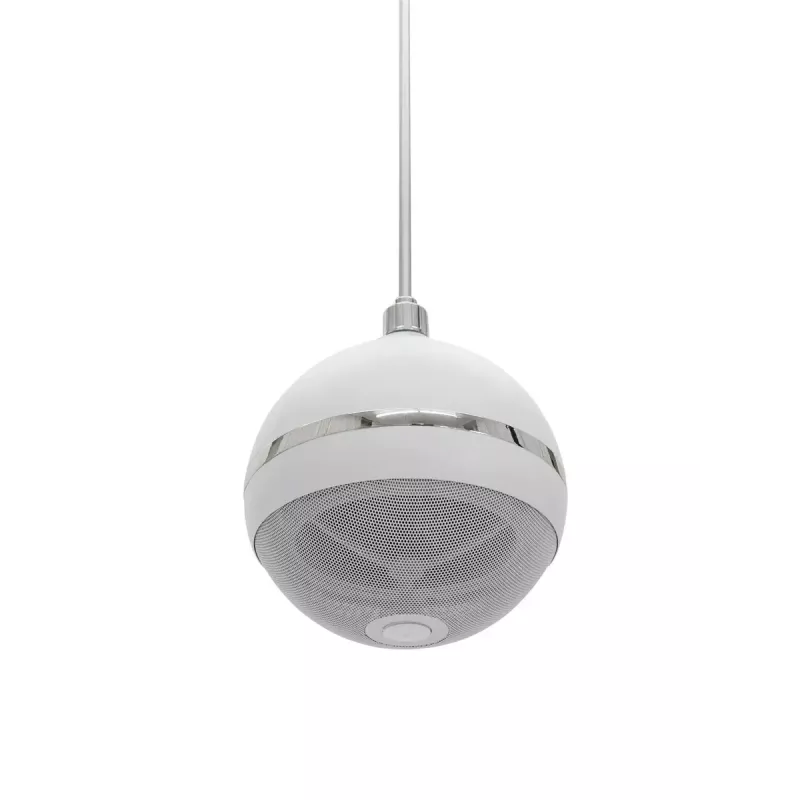 2 krypčių garsiakalbis Omnitronic 80710429