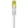 Renkforce RF-4149864 Cat6a tinklo kabelis 1 m pilkas