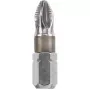 Antgalis atsuktuvui KWB Inox 125102 PH2 25mm