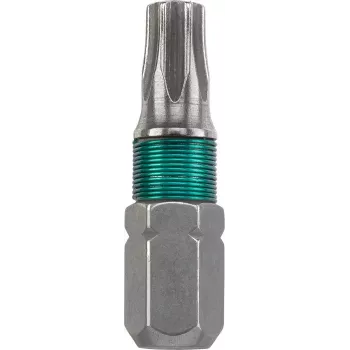 Antgalis atsuktuvui KWB Inox T25 25 mm 1 vnt.