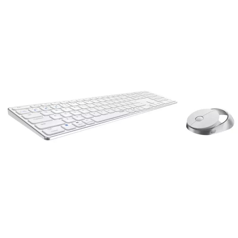 Rapoo 9850M belaidė klaviatūra su pele, RF / Bluetooth, QWERTZ vokiškas išdėstymas, balta