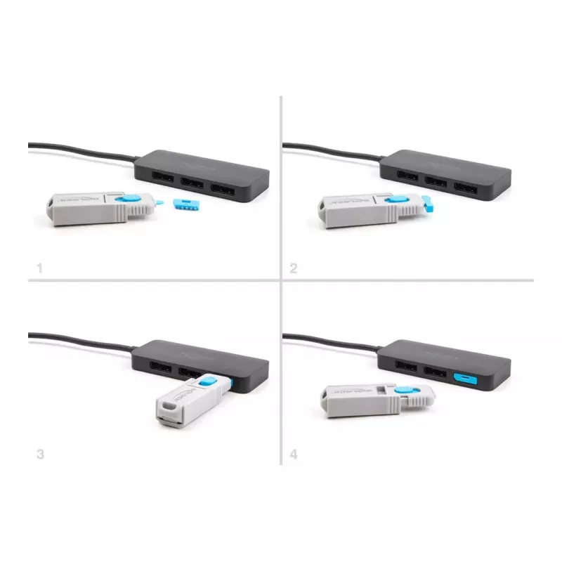 DeLOCK 20951 10 portų blokavimo rinkinys DisplayPort moteriškam lizdui mėlynas
