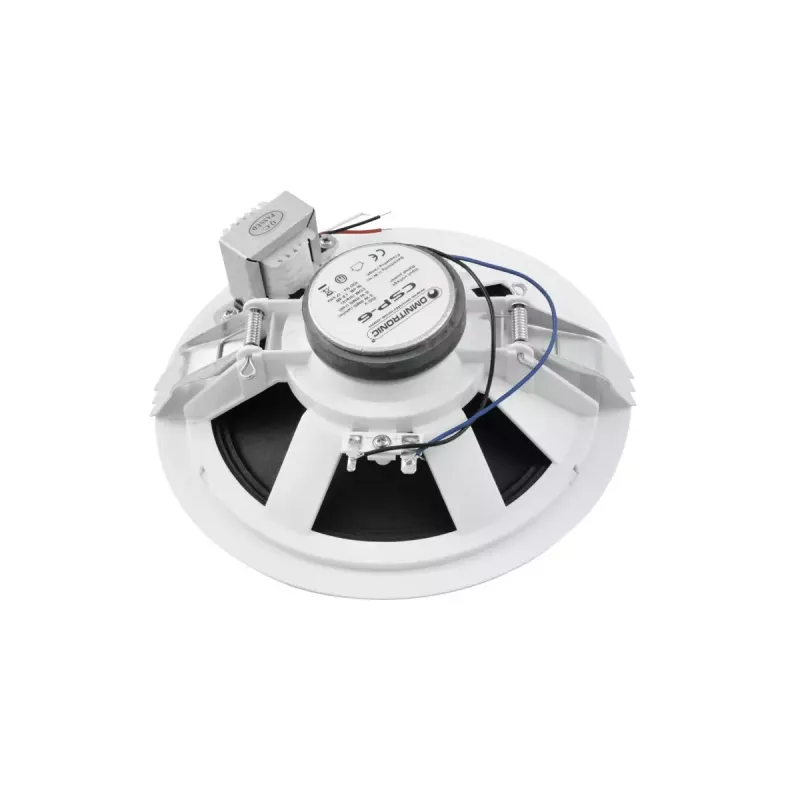 Pilno diapazono garsiakalbis Omnitronic 80710250 Baltas Laidinis 6 W