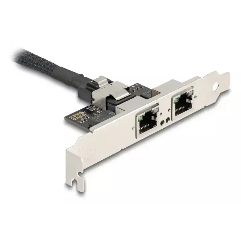 DeLOCK 95280 vidinis RJ-45 adapteris Mini PCI Express 4 Gbit/s