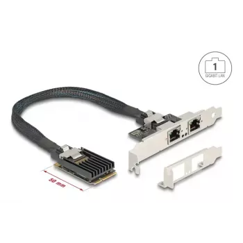 DeLOCK 95280 vidinis RJ-45 adapteris Mini PCI Express 4 Gbit/s