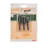 Bosch 2609255302 Raspė