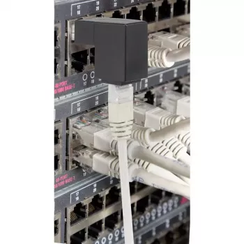 Keitiklis RJ45 lyties keitimui Renkforce RF-4087416
