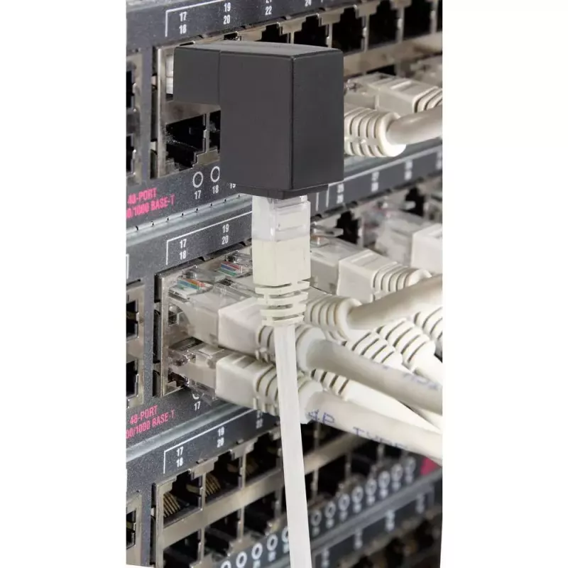 Keitiklis RJ45 lyties keitimui Renkforce RF-4087416