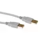USB 2.0 A kištukas - USB A kištukas dramblio kaulo spalvos 3,00 m ACT SB2503