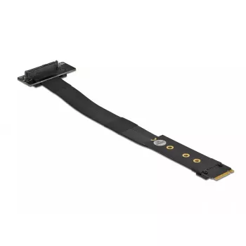 DeLOCK 64135 M.2 Key M į U.2 SFF-8639 NVMe adapteris