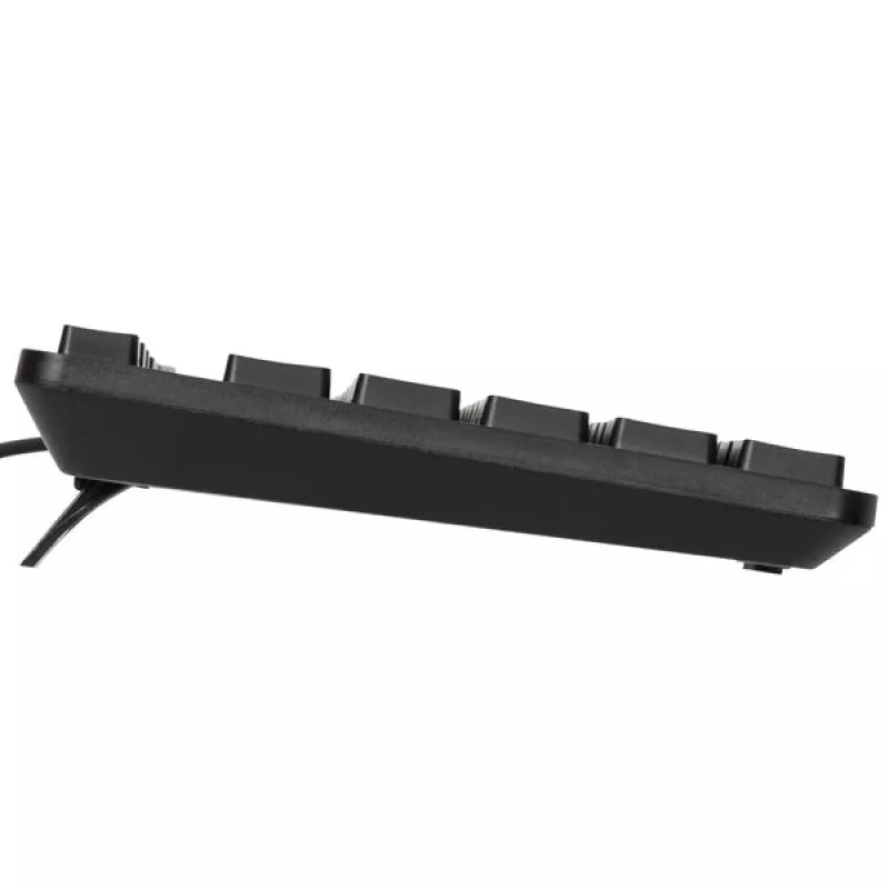 Targus AKB30AMUK klaviatūra, USB, pilno dydžio, QWERTY, JK išdėstymas, antimikrobinė