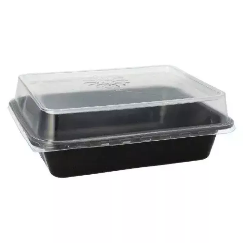 Vienkartinis maisto indas Papstar 96552 Polipropilenas Juodas 227x178x45mm