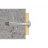 Varžtų ir kaiščių rinkinys Fischer 50338, 100 vnt., 30 mm