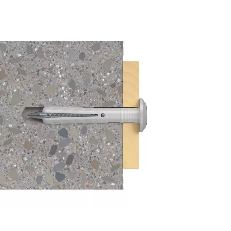 Varžtų ir kaiščių rinkinys Fischer 50338, 100 vnt., 30 mm