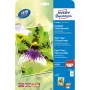 Avery Premium A4 250g satino-matinis popierius rašaliniams spausdintuvams, baltas