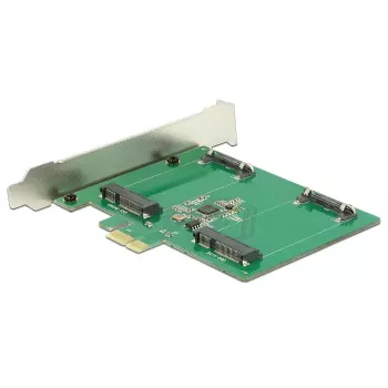 Vidinė mSATA adapterio kortelė DeLOCK 89479