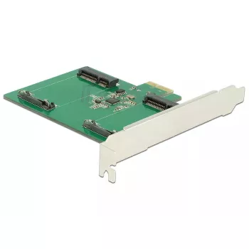 Vidinė mSATA adapterio kortelė DeLOCK 89479