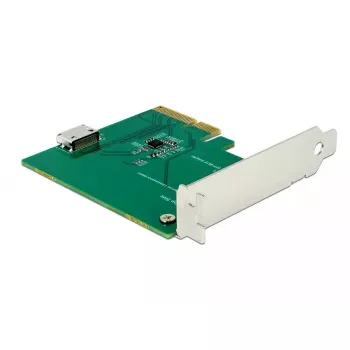 PCIe sąsajos plokštė DeLOCK 90307