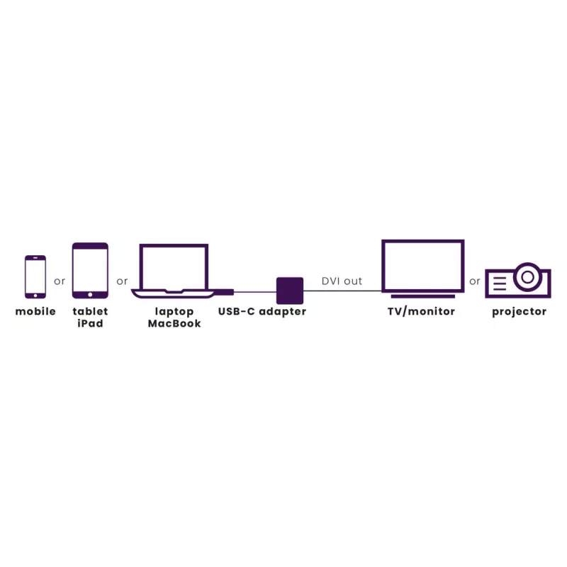 Marmitek Connect USB C į DVI adapteris