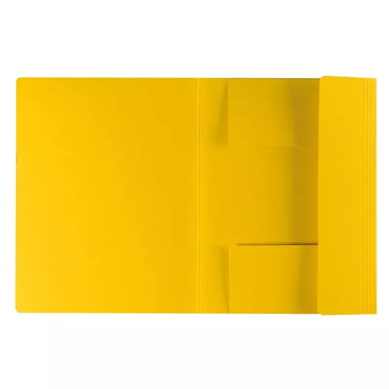 Kartoninis aplankas Herlitz 11076437