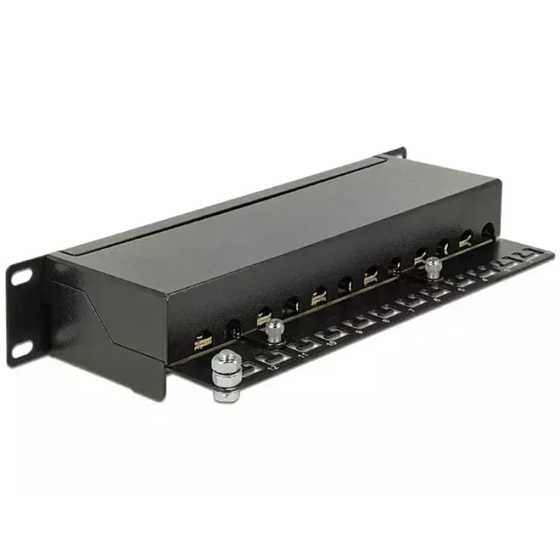 Patais skydelis 1U DeLOCK 43310