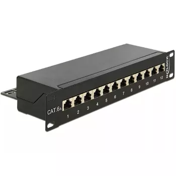 Patais skydelis 1U DeLOCK 43310