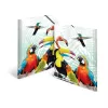 HERMA Tropical clique segtuvas dokumentams