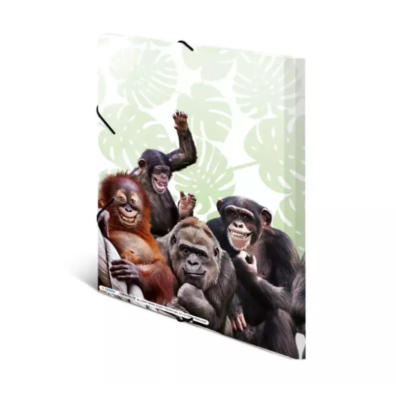 Segtuvas HERMA Monkey gang 19960