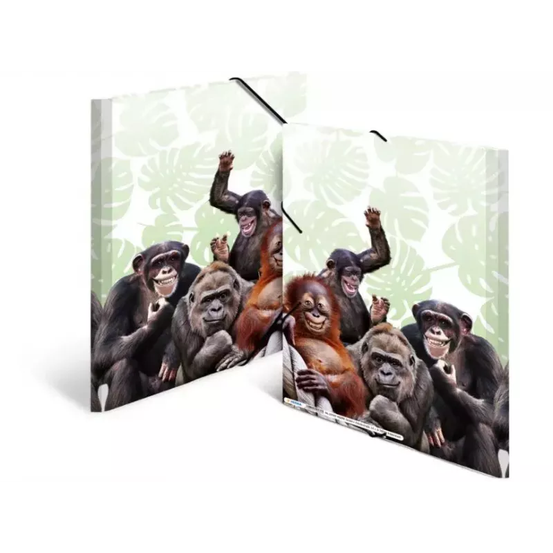 Segtuvas HERMA Monkey gang 19960