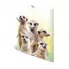 HERMA Meerkat troop 19961 aplankas dokumentams A4