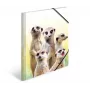 HERMA Meerkat troop 19961 aplankas dokumentams A4