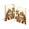 Aplankalas HERMA Giraffe friends polipropilenas A3