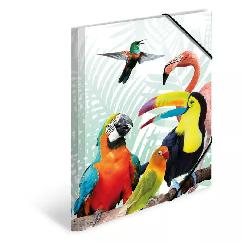 HERMA Tropical Clique A3 segtuvas