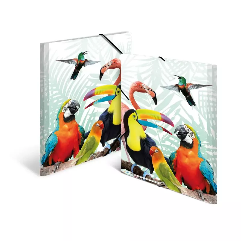HERMA Tropical Clique A3 segtuvas