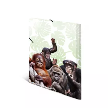 Konvencinis segtuvas HERMA Monkey gang Polipropilenas A3