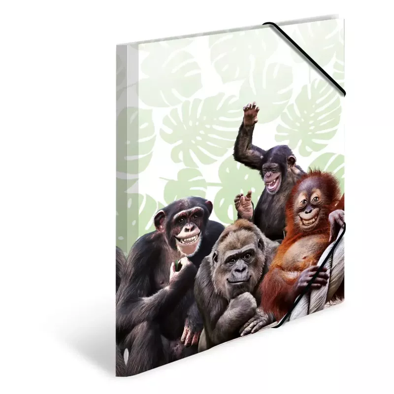Konvencinis segtuvas HERMA Monkey gang Polipropilenas A3