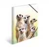 HERMA Meerkat troop klasikinis aplankas A3