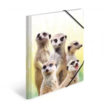 HERMA Meerkat troop klasikinis aplankas A3