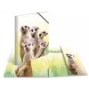 HERMA Meerkat troop klasikinis aplankas A3