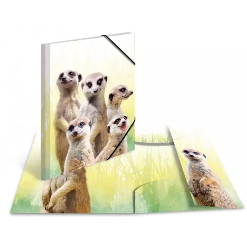 HERMA Meerkat troop klasikinis aplankas A3