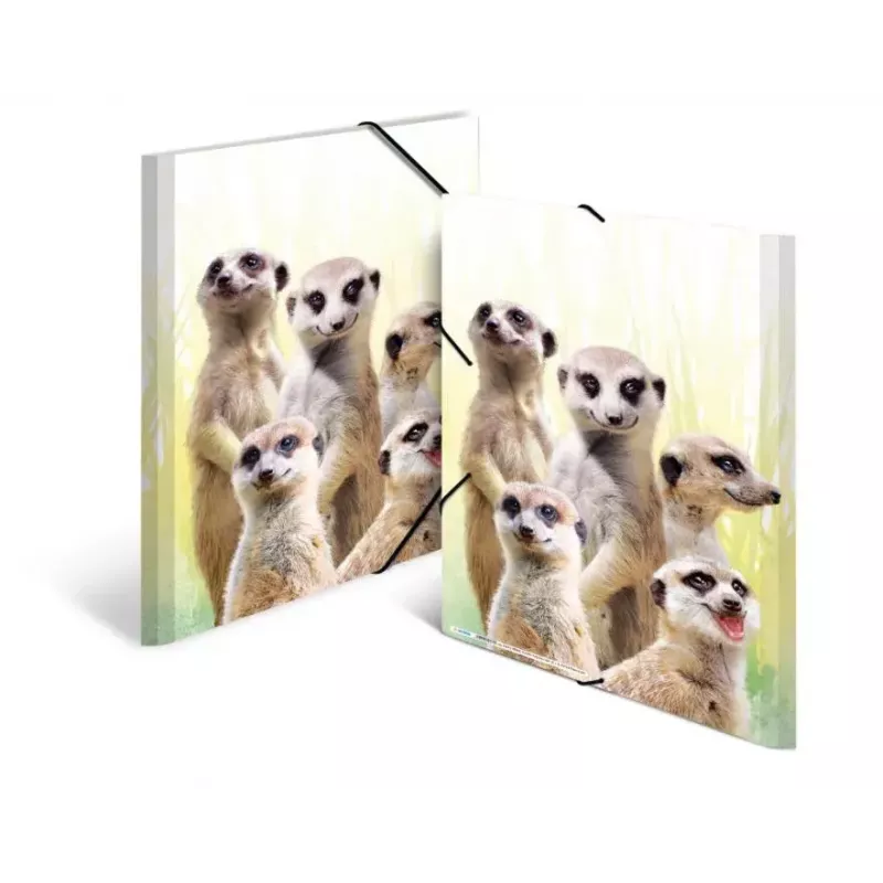 HERMA Meerkat troop klasikinis aplankas A3