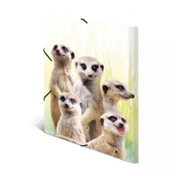 HERMA Meerkat troop klasikinis aplankas A3