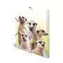 HERMA Meerkat troop klasikinis aplankas A3