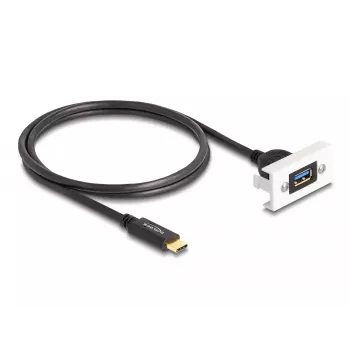 DeLOCK Easy 45 modulis SuperSpeed USB 10 Gbps USB Type-A moteriškas prie USB Type-C vyriškas