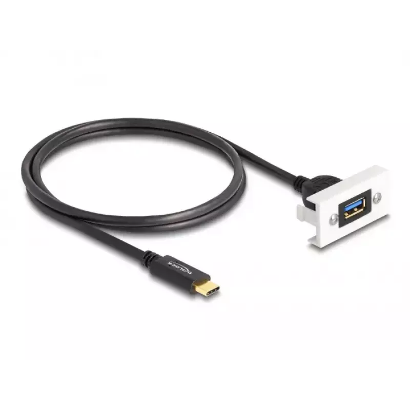 DeLOCK Easy 45 modulis SuperSpeed USB 10 Gbps USB Type-A moteriškas prie USB Type-C vyriškas